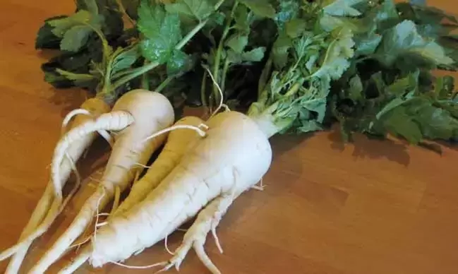 Using parsnip root as a spice can increase potency